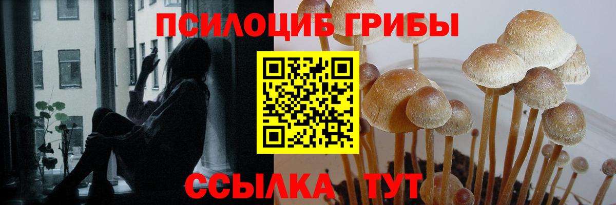 Галлюциногенные грибы ЛСД Кизляр